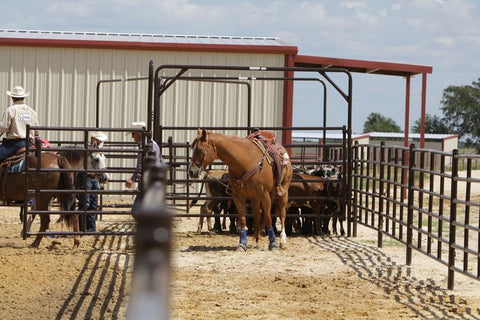 Tarter 6 ft Tall Heavy-Duty Arena Ride-Thru, Brown