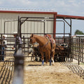 Tarter 5' Tall Arena Heavy-Duty Ride-Thru- 9'X12'