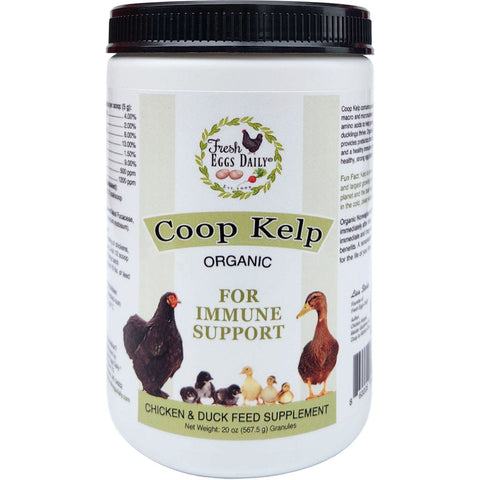 Fresh Eggs Daily Organic Coop Kelp for Immune Support, 20 oz