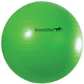 Horsemen's Pride Jolly Mega Ball Horse Toy, 40 in., Green