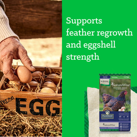 Nutrena® NatureWise® Feather Fixer® 18% Protein Pellet 40 lbs