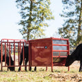 Tarter Calf Creep Feeder 650- Creep Feeder 650#