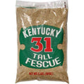 Barenbrug K-31 Tall Fescue Grass Seed, 5 lb