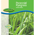 Barenbrug Perennial Ryegrass, 50 lb