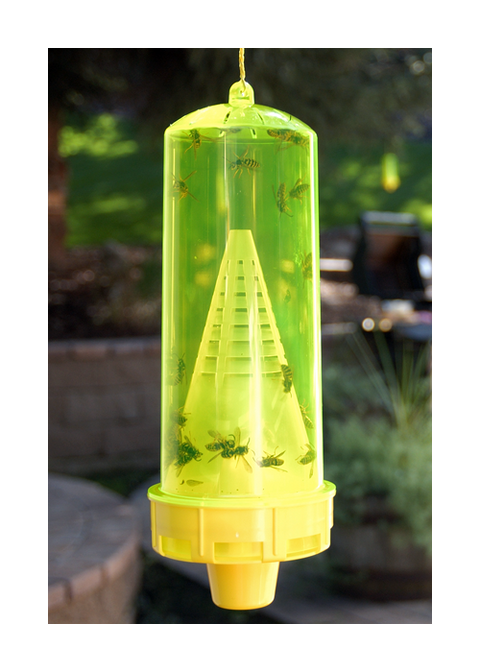 Rescue! Reusable Yellowjacket Trap