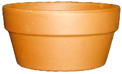 8.3" Terracotta Bulb Planter