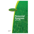 Barenbrug Perennial Ryegrass Seed, 25 lb.