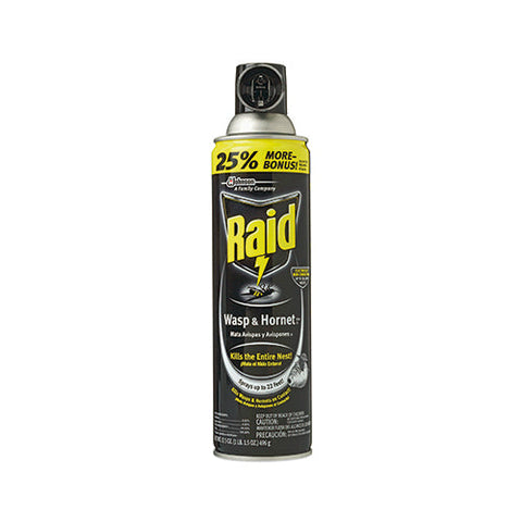 Raid Wasp & Hornet Killer Aerosol Spray