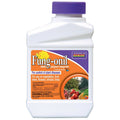 Bonide Fung-onil Multi-Purpose Fungicide Concentrate, 16 oz