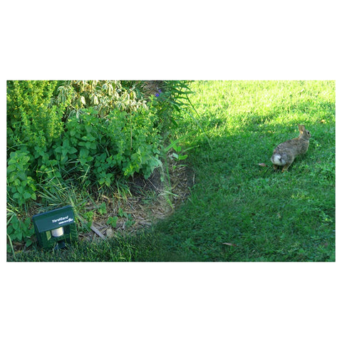 Bird-X Electronic Ultrasonic Pest Control