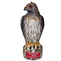 Bird-B-Gone Hawk Decoy