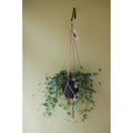 Primitive Planters Macrame Plant Hanger, Assorted