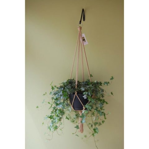 Primitive Planters Macrame Plant Hanger, Assorted