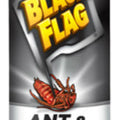 Black Flag Ant & Roach Killer, 17.5 oz