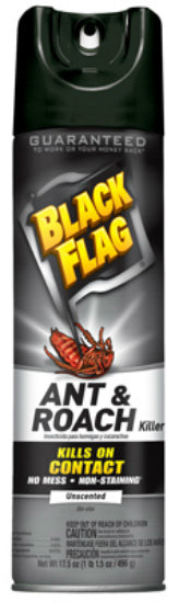 Black Flag Ant & Roach Killer, 17.5 oz