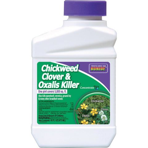 Bonide Chickweed & Clover Killer Concentrate, 1 pt