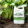 Liquid Fence Deer & Rabbit Repellent, Ready-To-Use, 1 Gallon