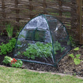 TDI Brands Standard Easy Poly Dome