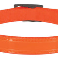 Coastal Pet Water & Woods Orange 20" Collar S2903r Sor20