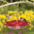 HummZinger Little Fancy Hummingbird Feeder