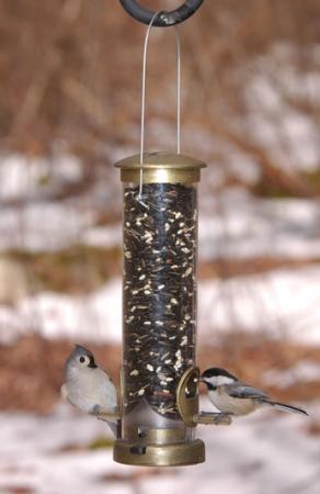 Aspects Quick-Clean Tube Seed Feeder