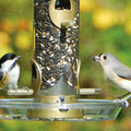 Aspects Round Seed Tray