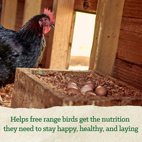 Nutrena® NatureWise® Free-Range Egg Producer 21% Protein Pellet 50 lbs