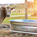 Tarter Oval Mega 300-Oval Galvanized Stock Tank- 3'X2'X8'
