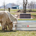 Tarter Round Mega 390-Round Galvanized Water Tank-6'X2'