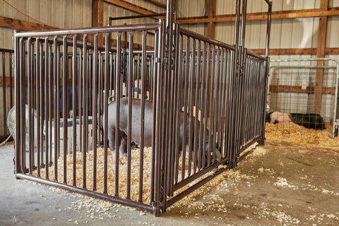 Tarter Expo Hog & Sheep Panel, Brown