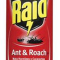 Raid Ant & Roach Killer, 17.5 oz