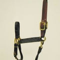 Hamilton Adjustable Halter with Leather Crown, Large, Black