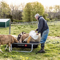 Tarter Goat Bunk Feeder - 5' Galvanized