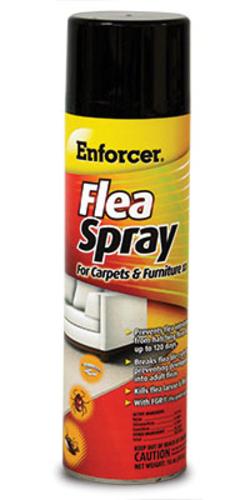 Enforcer Flea Spray, 14 oz