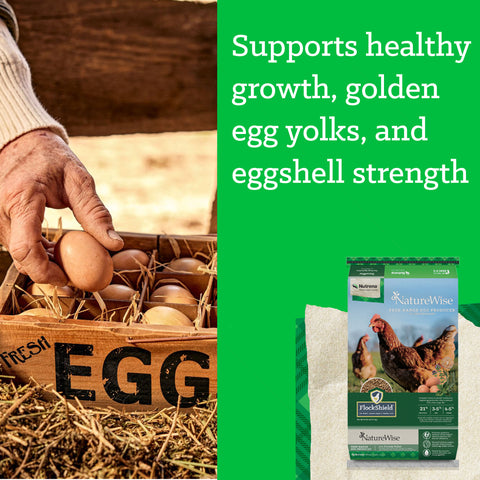 Nutrena® NatureWise® Free-Range Egg Producer 21% Protein Pellet 50 lbs