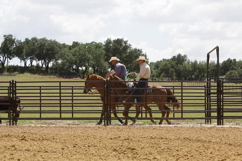 Tarter 8' Chute Help Dirt Eater Arena Drag - Green
