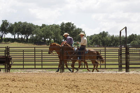 Tarter Chute Help Dirt Eater Arena Drag, Green
