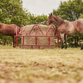 Tarter Equine Pro Hay Feeder-3-Pc Equine Hay Feeder- Red