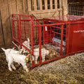 Tarter Goat Creep Feeder- 650 Lbs Red