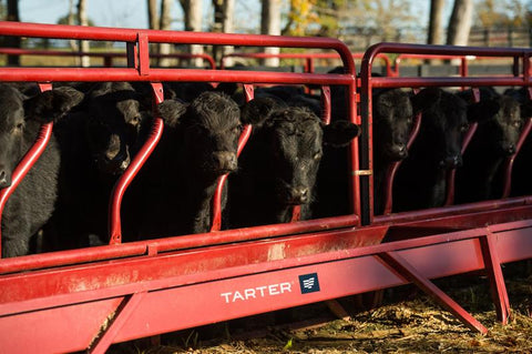 Tarter Cattle Fence Line Feeder Panel, Red