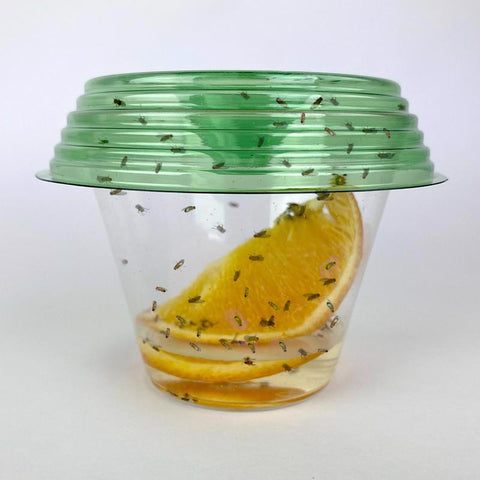 2 PACK FLY-LID FLY TRAP