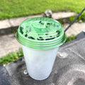 2 PACK FLY-LID FLY TRAP