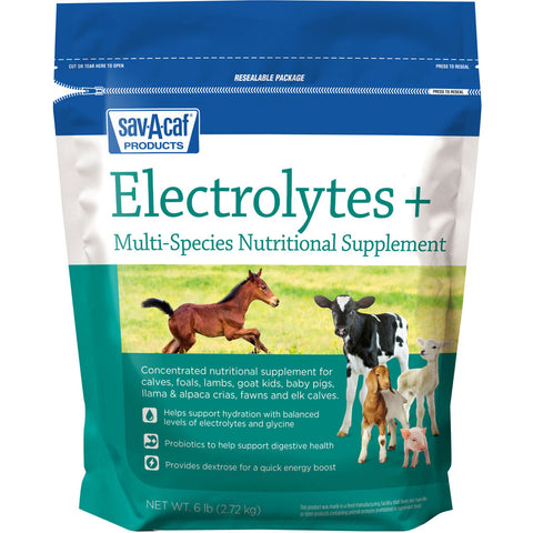 Electrolytes Plus Multi-species Supplement 6 LB