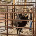 Tarter Super Stock Walk-Thru - 7' X 6'