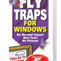 JT Eaton Window Fly Trap, 5 Pack