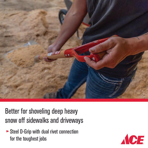 Ace Aluminum Scoop with D-handle, #12