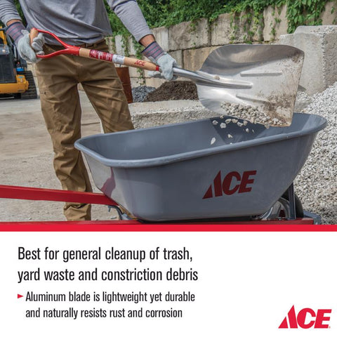 Ace Aluminum Scoop with D-handle, #12