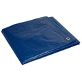 Foremost 40' x 60' Medium-Duty Blue Poly Tarp