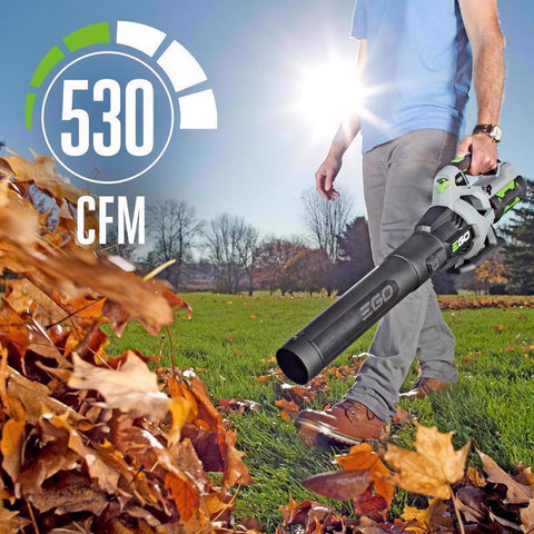 EGO Power+ Blower/Trimmer Kit, 15 Inch