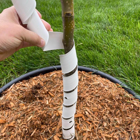 Master Mark Spiral Tree Protector, White, 24"